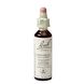 Bach Flower Remedies Reuzenbalsemien 18 20ML