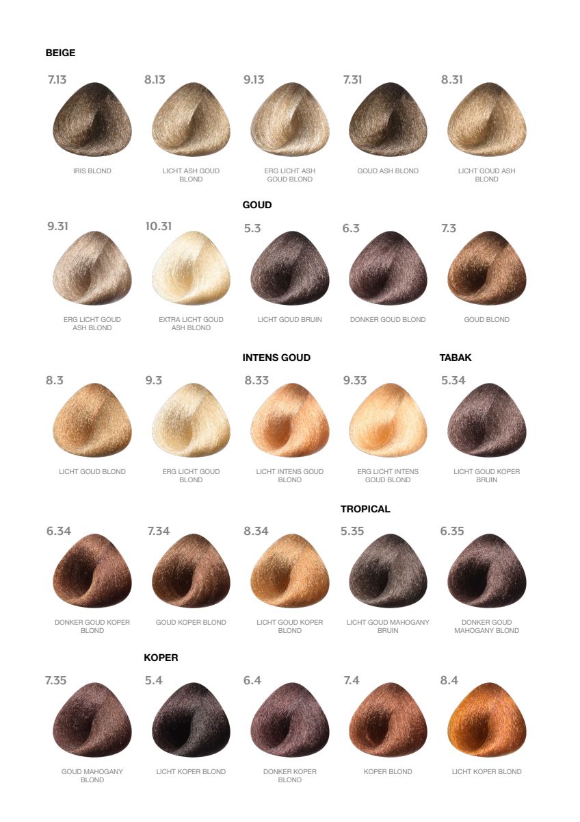 Color 6 Dark Blonde afbeelding van document #3, extra_info