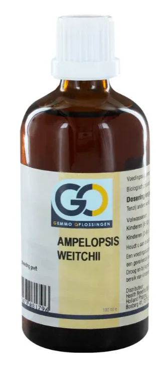 GO Gemmo Oplossingen Ampelopsis Weitchii Druppels
