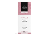 Volatile Vanille (Vanilla Plantifolia) 10ML