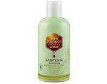 Bee Honest Shampoo Verveine & Citroen 250ML