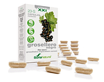 Soria Natural Soria Ribes Nigrum XXI Capsules 30CP Soria Natural Soria Ribes Nigrum XXI Capsules 30CP