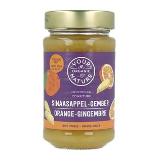 Your Organic Nature Fruitbeleg Sinaasappel-Gember 250GR