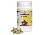 Holisan Punarnava Capsules 60CP