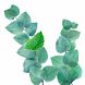 Kneipp Douche Foam Mint Eucalyptus 200ML