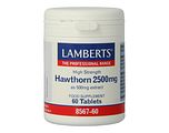 Lamberts Crataegus 2500mg Tabletten 60TB