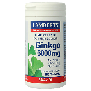 Lamberts Ginkgo 6000mg Time Release Tabletten 180TB