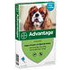Advantage Hond 100 4ST Advantage Hond 100 4ST