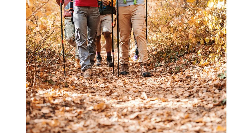 Close-up van de benen van wandelaars die door het bos lopen. Herfsttijd. Close-up van de benen van wandelaars die door het bos lopen. Herfsttijd.