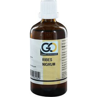 GO Gemmo Oplossingen Ribes Nigrum Bio Tinctuur 100ML