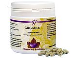 Holisan Guggulu Capsules 60CP Holisan Guggulu Capsules 60CP