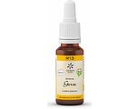 Lemon Pharma Bach NO.13 Gorse 20ML Lemon Pharma Bach NO.13 Gorse 20ML