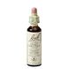 Bach Flower Remedies Tamme Kastanje 30 20ML Bach Flower Remedies Tamme Kastanje 30 20ML