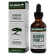 Nutramedix Burbur Pinella 60ML flesje met verpakking