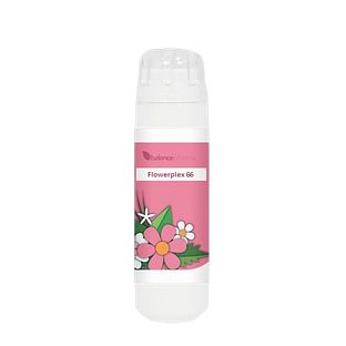Balance Pharma Flowerplex 066 Troost 6GR