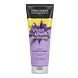 John Frieda Violet Crush for Blondes Purple Conditioner 250ML