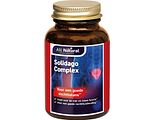 All Natural Solidago Complex Tabletten 100TB