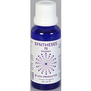 Vita Producten Vita Syntheses 70 Spijsvertering Enzym 30ML