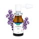 A.Vogel Oorspray Oorsmeer 10ML