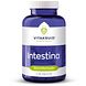 Vitakruid Intestina Darmformule oa L-Glutamine Probiotica 120TB Vitakruid Intestina Darmformule oa L-Glutamine Probiotica 120TB
