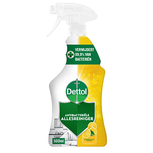 Dettol Power & Fresh Citrus Allesreiniger Spray 500ML