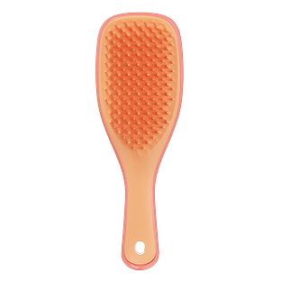 Tangle Teezer Detagling Mini Haarborstel 1ST Tangle Teezer Detagling Mini Haarborstel 1ST