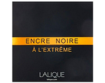 Lalique Encre Noire À L'Extrême Eau de Parfum Pour Homme 100ML