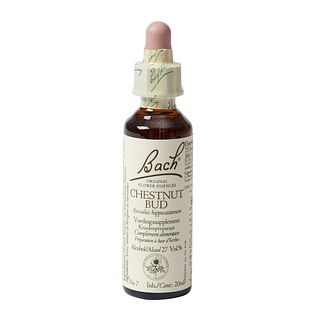 Bach Flower Remedies Kastanjeknop 07 20ML Bach Flower Remedies Kastanjeknop 07 20ML