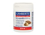 Lamberts Ashwagandha 6000mg Capsules 60CP