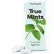 True Gum True Mints Fresh Mint 13GR