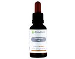 Proviform Vitamine D3 25mcg Druppels 30ML Proviform Vitamine D3 25mcg Druppels 30ML