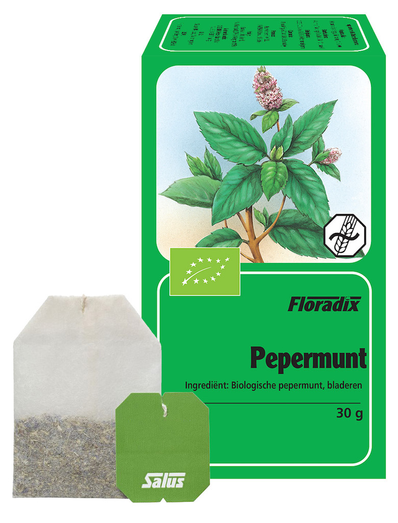 Salus Thee Pepermunt Zakjes afbeelding