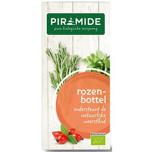 Piramide Rozenbottel Thee 20ZK