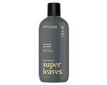 Attitude Super Leaves Men Amber & Citrus Showergel 415ML