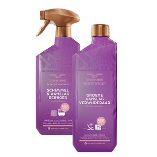 Bruynzeel Cosmetic Homecare Schimmel Aanpak 2ST Bruynzeel Cosmetic Homecare Schimmel Aanpak 2ST
