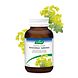 A.Vogel Glucosamine + Alchemilla Gewrichten Tabletten 90TB