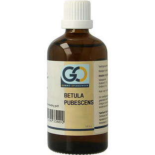 GO Gemmo Oplossingen Betula Pubescens Bio Tinctuur 100ML GO Gemmo Oplossingen Betula Pubescens Bio Tinctuur 100ML