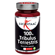 Lucovitaal 100% Tribulus Terrestris Capsules 60CP Lucovitaal 100% Tribulus Terrestris Capsules 60CP