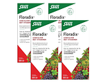 Salus Elixer Floradix 4x500ML
