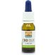 Mattisson HealthStyle CBD Olie 2.78% 10ML Mattisson HealthStyle CBD Olie 2.78% 10ML