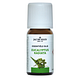 Jacob Hooy Essentiële Olie Eucalyptus Radiata 10ML