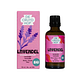 Cruydhof Lavendel Lavendula Officinalis Bio Druppels 50ML Verpakking plus flesje Cruydhof Lavendel Lavendula Officinalis Bio Druppels 50ML Verpakking plus flesje