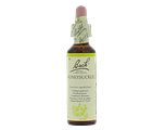 Bach Flower Remedies Kamperfoelie 16 20ML