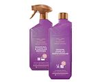 Bruynzeel Cosmetic Homecare Schimmel Aanpak 2ST Bruynzeel Cosmetic Homecare Schimmel Aanpak 2ST