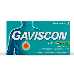 Gaviscon 250 Pepermunt Kauwtabletten 16TB