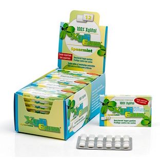 Xyligum Kauwgom Spearmint 12ST