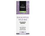 Volatile Eucalyptus Wild Bio 10ML