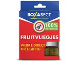 Roxasect Fruitvliegjes 1ST