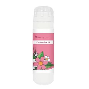 Balance Pharma Flowerplex 024 Vreugde 6GR Balance Pharma Flowerplex 024 Vreugde 6GR