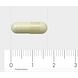 AOV 220 Pyridoxaal-5-fosfaat Capsules 120VCP Afmeting capsule 1,7cm